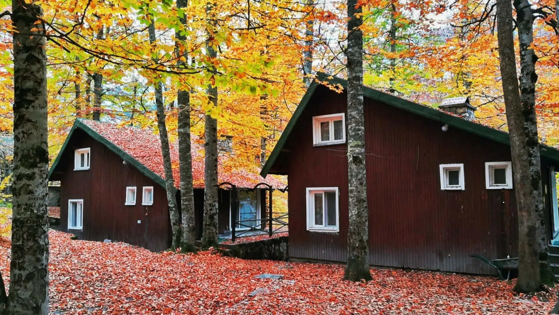 Habitat Mesire Yedigöller Dağ Evleri Görsel 2